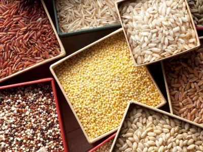 USDA Export Sales bán hàng ngô và lúa mì niên vụ 22/23 giảm mạnh so với tuần trước