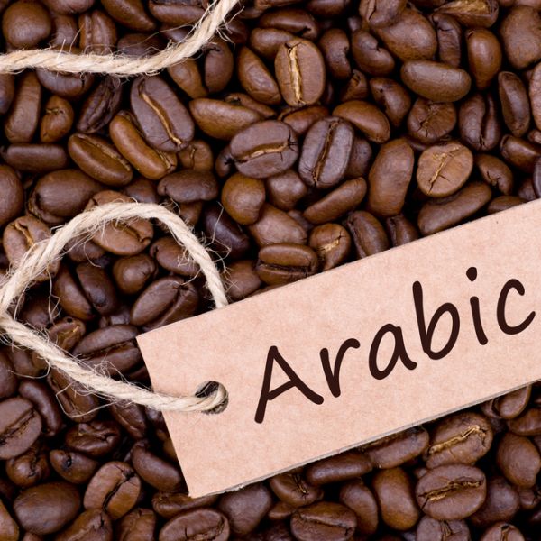 Cà phê Arabica