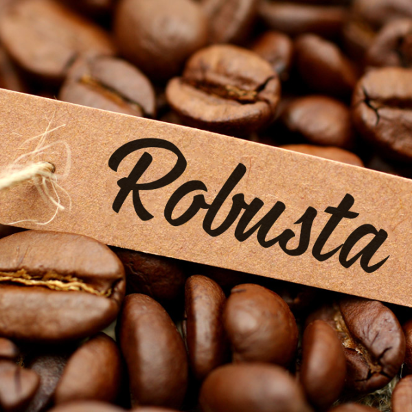 Cà phê Robusta